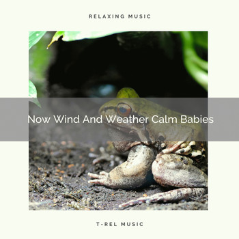 Baby Sleep Music - Now Wind And Weather Calm Babies