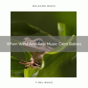 Baby Sleep Music - When Wind And Real Music Calm Babies