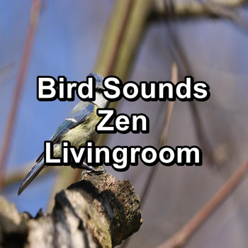 Sleep - Bird Sounds Zen Livingroom 