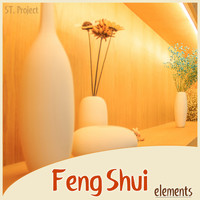 St Project - Feng Shui Elements