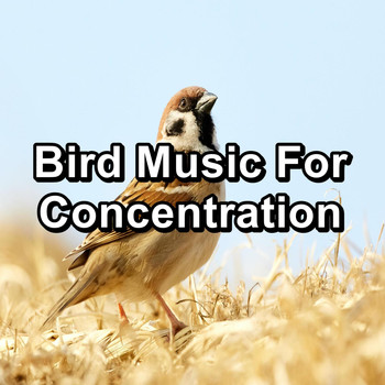 Bird Songs - Bird Song for Babies Deep Sleep