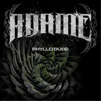 ADAME - Phyllotaxis I (Explicit)
