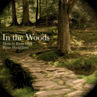 David Ianni - Ewan Clark: In the Woods