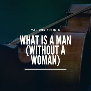 Various Artists - What Is a Man (Without a Woman)