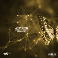 Andy Kern (DE) - Mellifluous