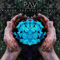 Pav - Behind the Black Stripe