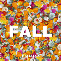 Pixluxx - Fall
