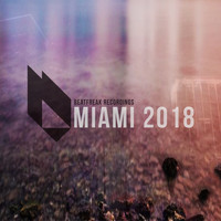 Several Definitions - Miami 2018