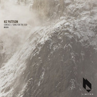 Kiz Pattison - The Zoo City