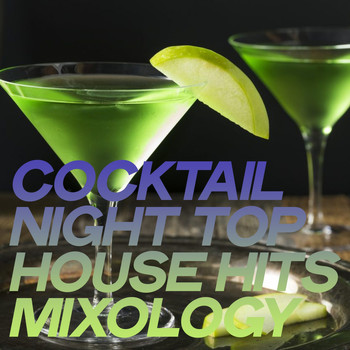 Various Artists - Cocktail Night Top House Hits Mixology
