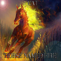 NIKNAQAD, CAT / - "Horse Named Fire"