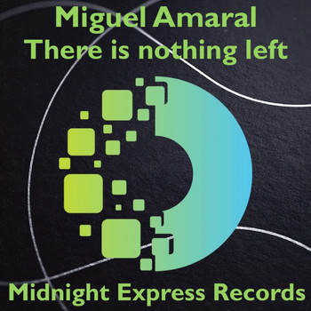 Miguel Amaral - There is nothing left