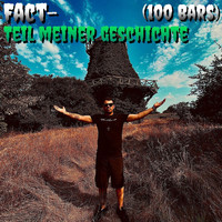 Fact - Teil meiner Geschichte
