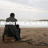 Wave Sound Group - Growing Wind on the Beach