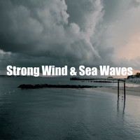 Sea Sleeping Waves - Strong Wind & Sea Waves