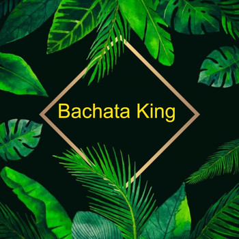 Various Artists - Bachata King