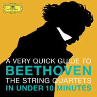 Amadeus Quartet - Beethoven: The String Quartets in under 10 minutes