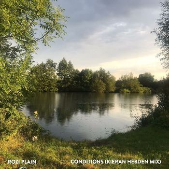 Rozi Plain - Conditions (Kieran Hebden Mix)