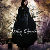 System Overload - From the Shadows (Explicit)