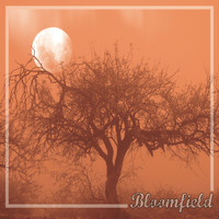 Bloomfield - Adversity (Explicit)