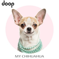 Doop - My Chihuahua