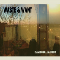 David Gallagher - Waste & Want (Explicit)