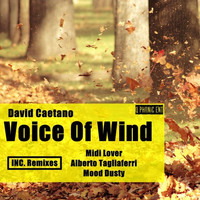 David Caetano - Voice of Wind
