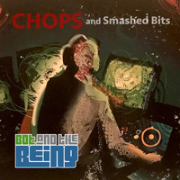 Bot and the Being - Chops and Smashed Bits
