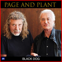Robert Plant and Jimmy Page - Black Dog