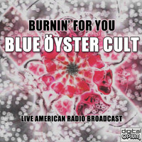Blue Oyster Cult - Burnin' For You (Live)