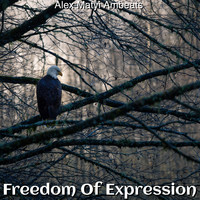 Alex Matyi Ambeats - Freedom of Expression