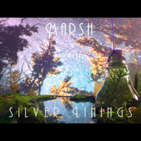 Silver Linings - Marsh
