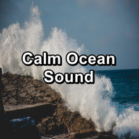 Nature Sounds Radio - Calm Ocean Sound