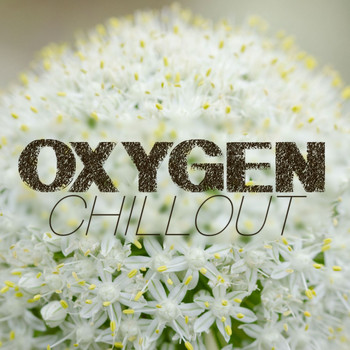 Various Artists - Oxygen Chillout