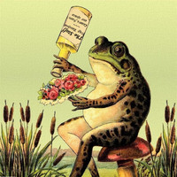 The Stuff - Frog Bouquet: Covers from Our Space