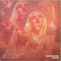 Nova Miller - Mi Amor (GOLDHOUSE Remix)