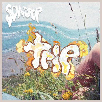 Souldrop - trip