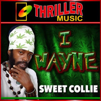 I Wayne - Sweet Collie