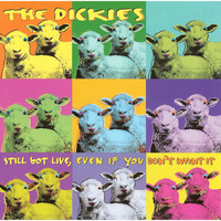The Dickies / - Still Got Live Even If You Don't Want It