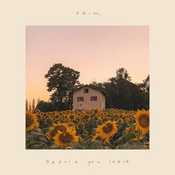 PRIM - Before You Leave