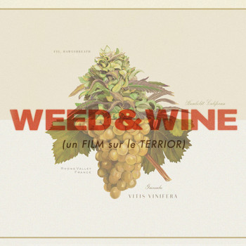 Max Avery Lichtenstein / - Weed & Wine (Original Motion Picture Score)