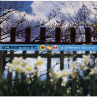Spearmint / - A Different Lifetime