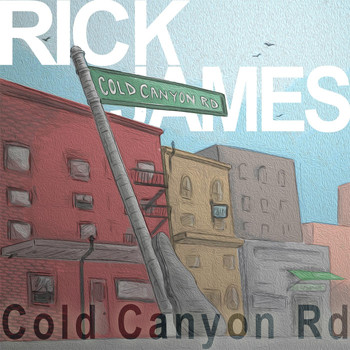 Rick James - Cold Canyon Road