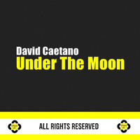 David Caetano - Under the Moon