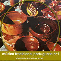 Jorge Fontes - Musica Tradicional Portuguesa N1 (Acordeon, Guitarra E Ritmo)