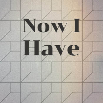 Various Artists - Now I Have