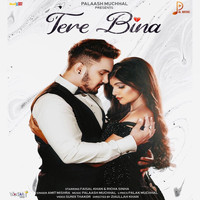 Amit Mishra - Tere Bina