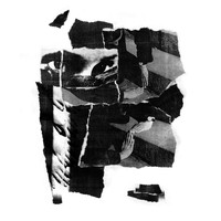Evitceles - Нелюбов