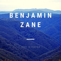 Benjamin Zane - Trees in Austria