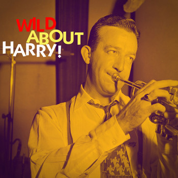 Harry James - Wild About Harry!